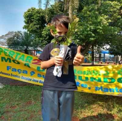 Projeto Despertar distribui mudas de Ã¡rvores neste sÃ¡bado para a populaÃ§Ã£o